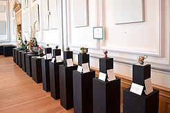 TIMELESS TACOMA TREASURES